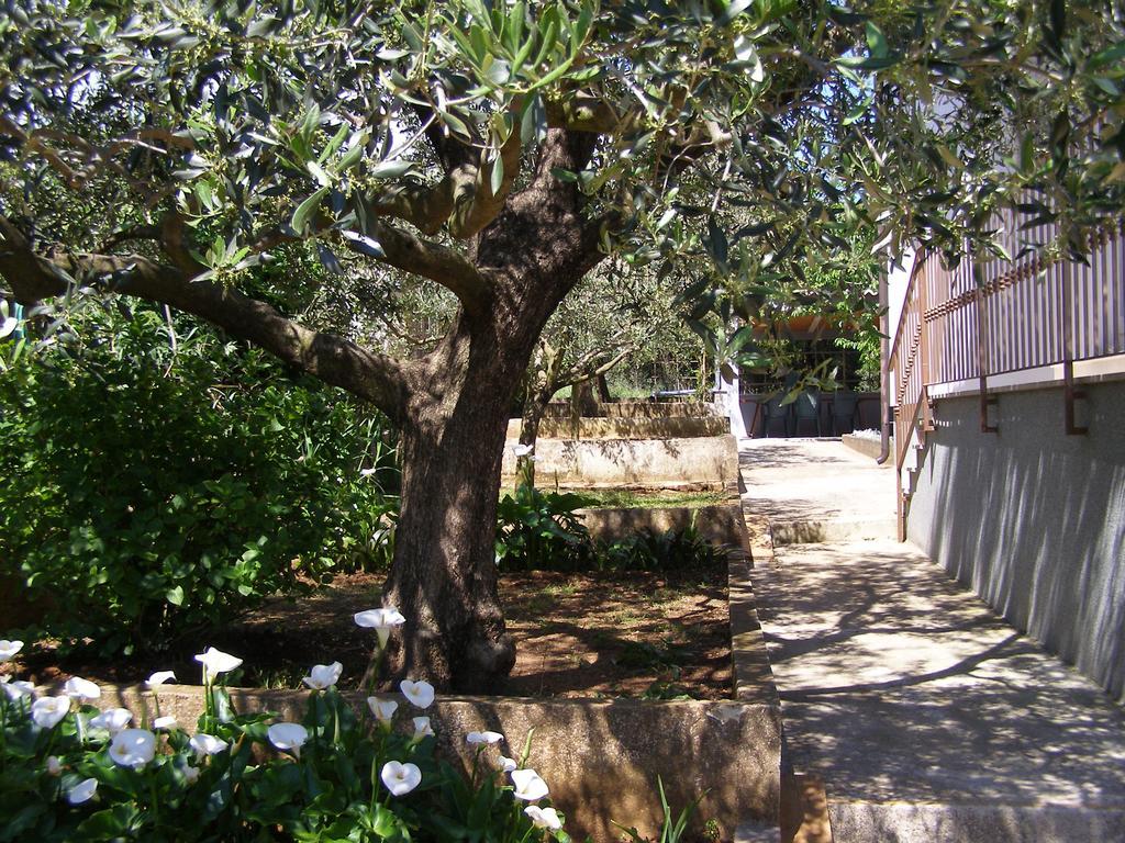 Apartment Vallelunga بولا المظهر الخارجي الصورة